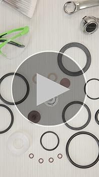 Amazon.com: Chapin 6-1925 Seal and Gasket Kit For Most